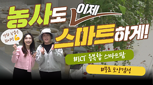 [오늘의 강화군] 농사도 이제는 스마트하게✨ㅣ강화 농업의 미래가 바뀐다!👨‍🌾ㅣICT융복합 스마트팜ㅣ무료 토양검정도 신청해 보세요 사진