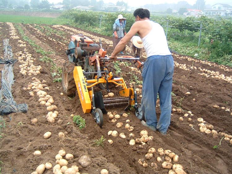 감자수확기