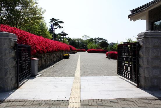 갑곶돈대 영산홍 만개에 따른 야간 무료 개방안내 사진