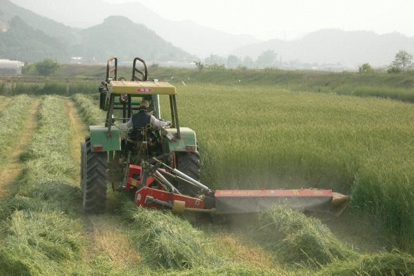 디스크모어컨디셔너