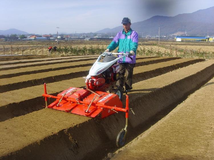 인삼두둑작판정지기