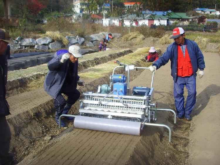 인삼종자파종기