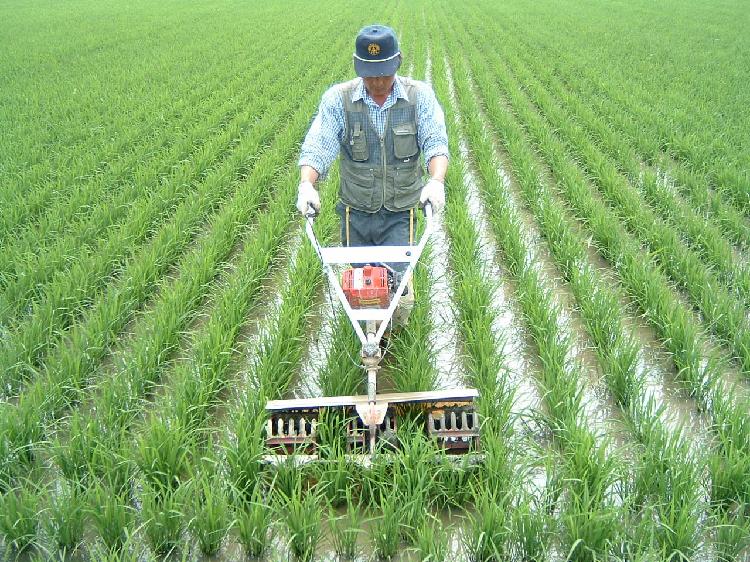 동력중경제초기