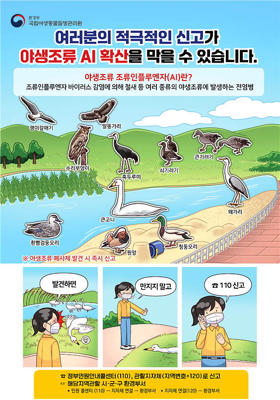 홍보(AI_폐사체_신고안내)