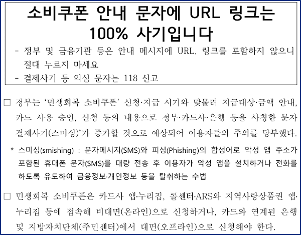 2025-07-25_204125_소비쿠폰_