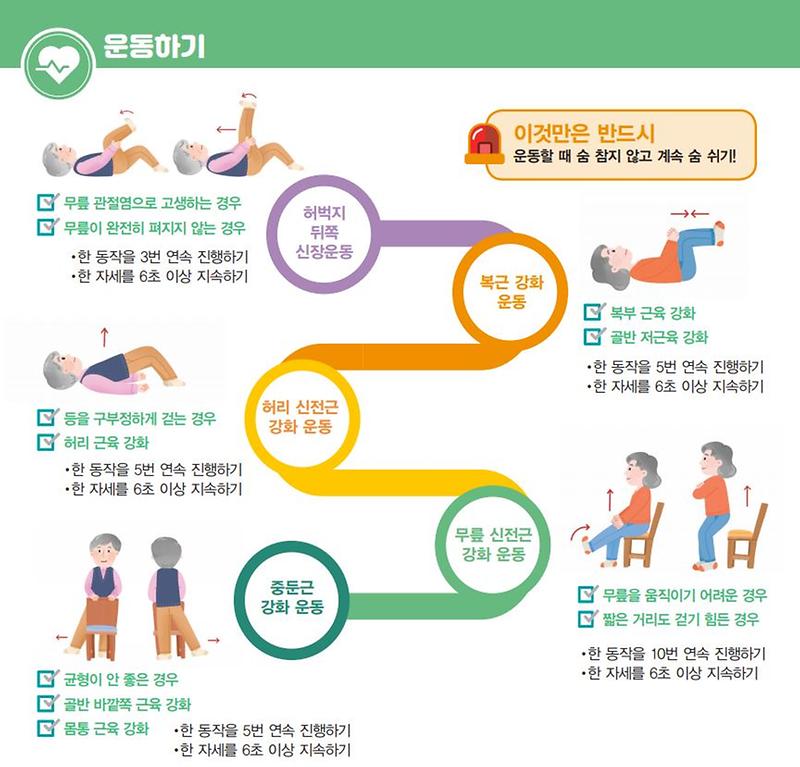 허약노인운동-한국건강증진개발원