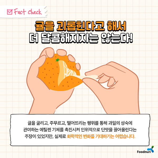 82b01fdd+a4bd+4d46+8de1+3531839c396c-귤2