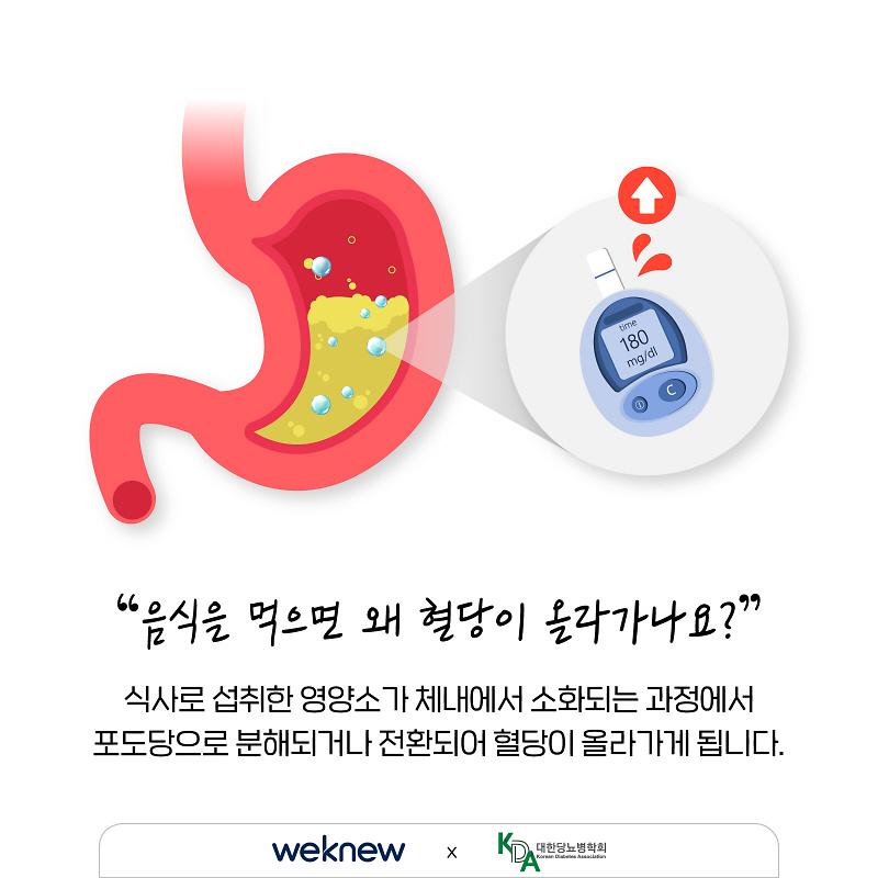 당뇨-탄수화물-2