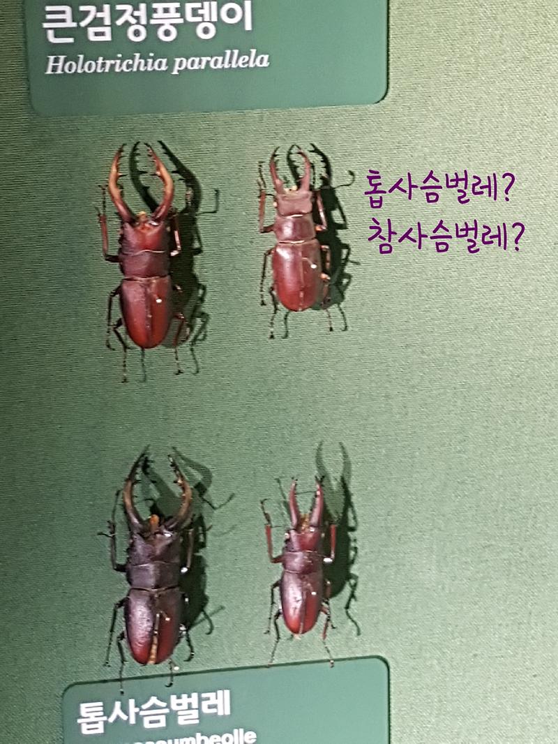 20190217212317