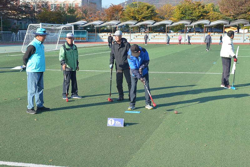 강화군수배_그라운드_골프대회_(12).jpg 이미지