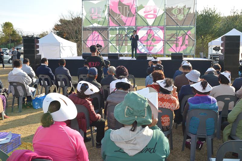 양사_파머스_축제_(7).jpg 이미지