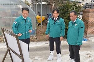 AI 발생농가 현장 확인 사진