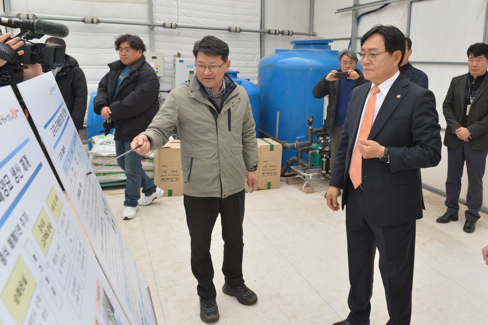  강화고구마_조직배양묘_분양현장_확인_(1).jpg 이미지