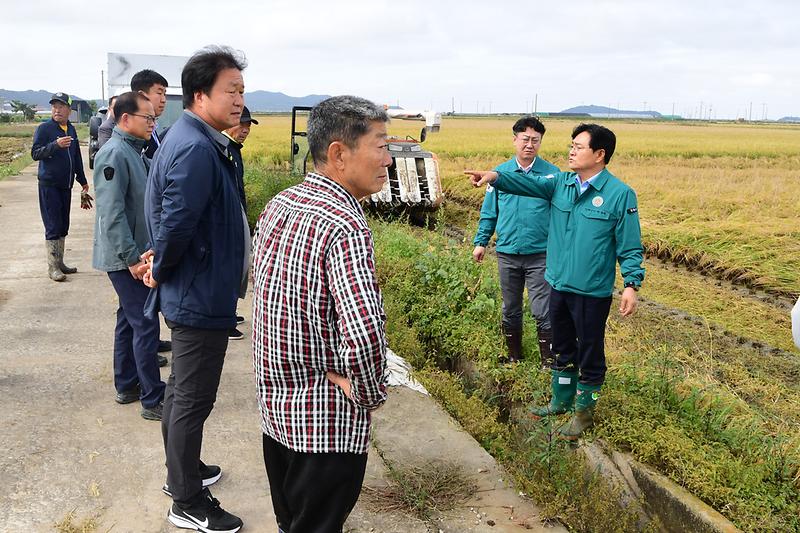 벼_도복피해현장_확인_(14).jpg 이미지