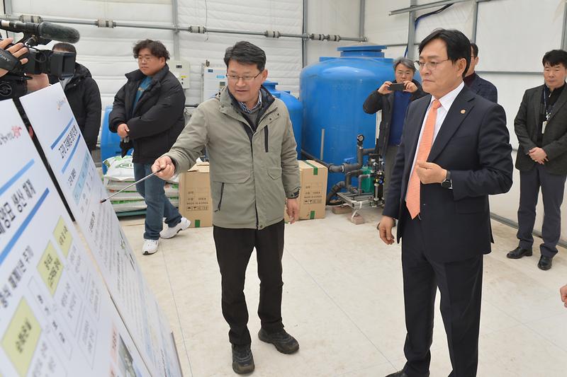 강화고구마_조직배양묘_분양현장_확인_(1).jpg 이미지