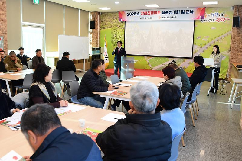 강화섬_토마토_품종평가회_(4).jpg 이미지