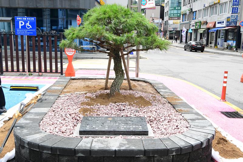 광복80주년_지방자치_30주년_기념식수_(15).jpg 이미지