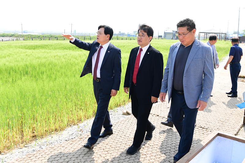 난정리_청보리_축제_(8).jpg 이미지