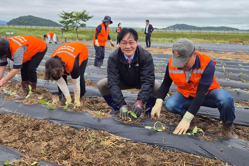 농촌일손_돕기_봉사활동_(8).jpg 이미지