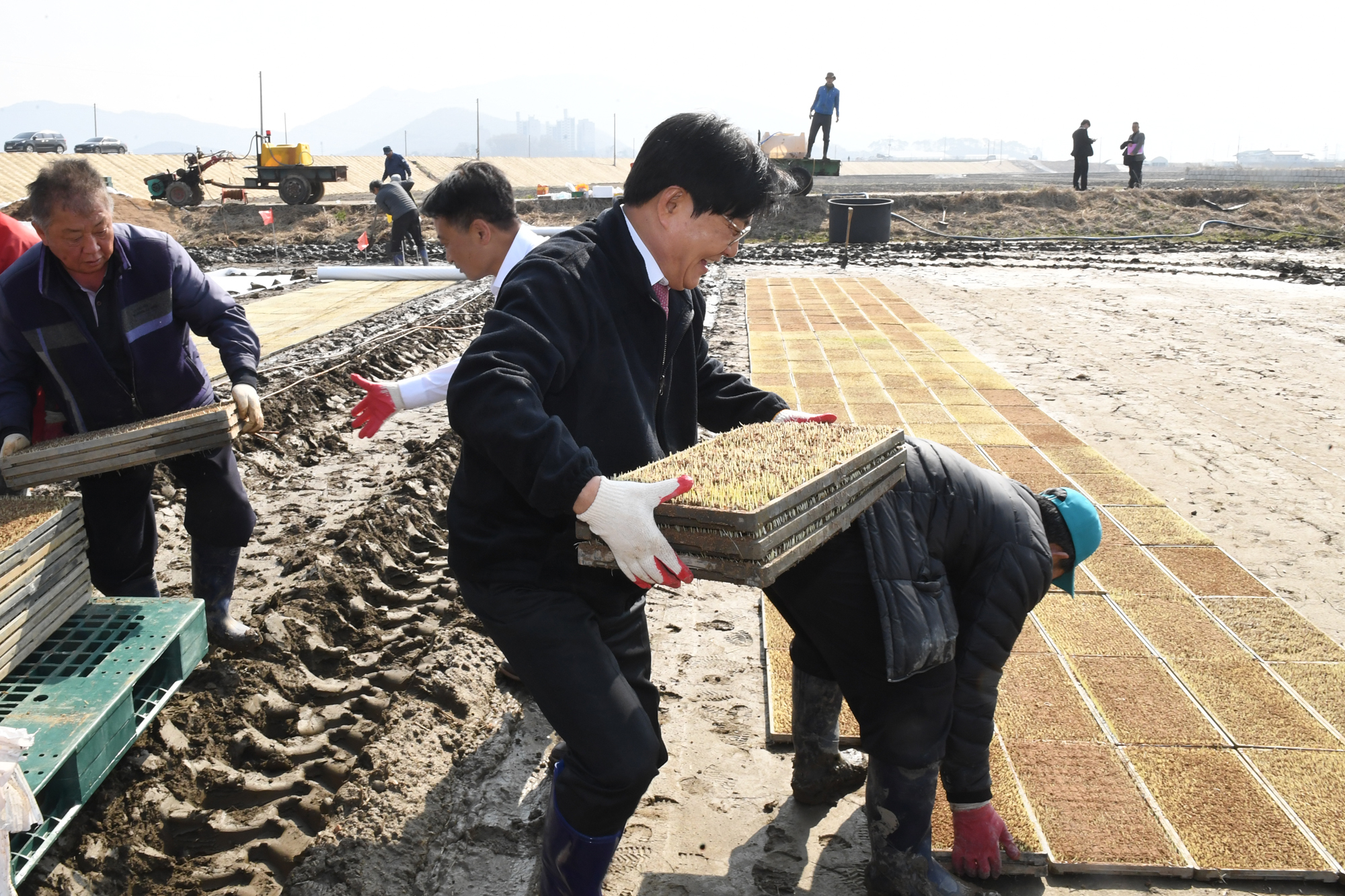  못자리_현작_격려_(11).jpg 이미지