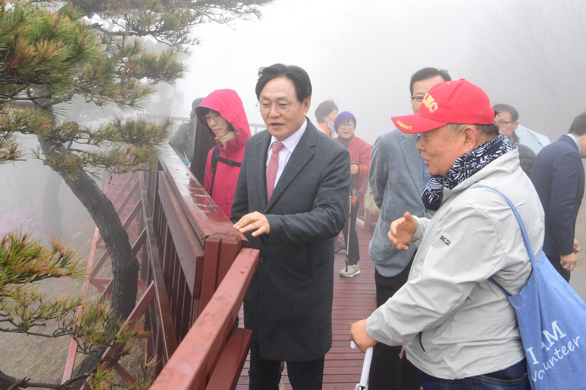  진달래군락지_현장확인_(2).jpg 이미지