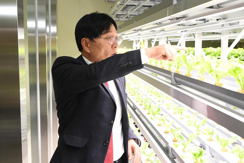 식물공장_확인_(5).jpg 이미지