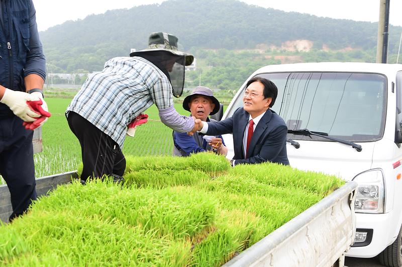 예비못자리_현장_(3).jpg 이미지