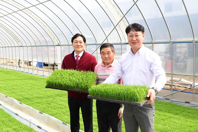 육묘_파종현장_확인_(21).jpg 이미지