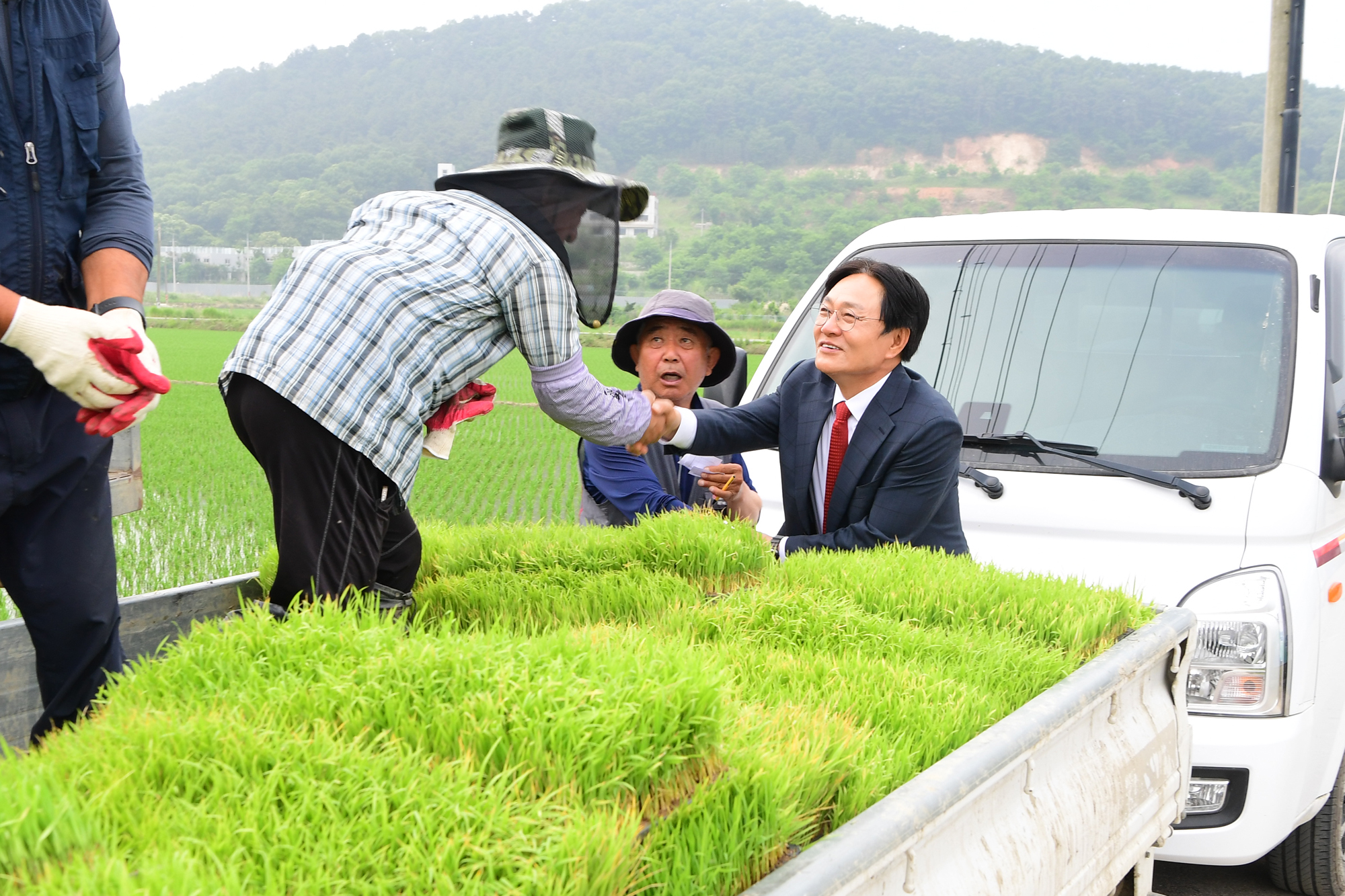  예비못자리_현장_(3).jpg 이미지
