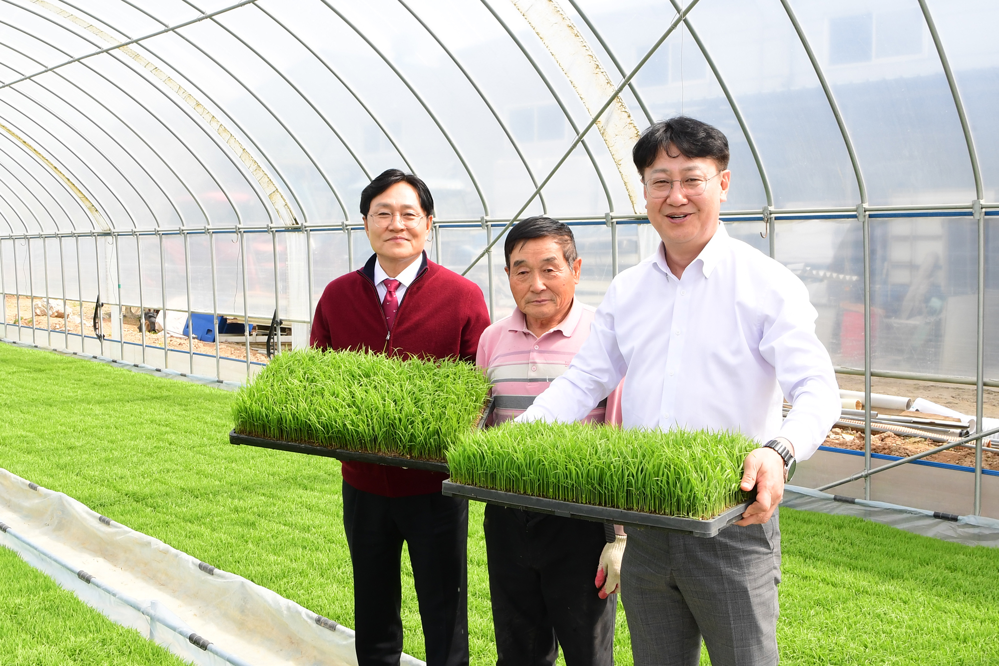  육묘_파종현장_확인_(21).jpg 이미지