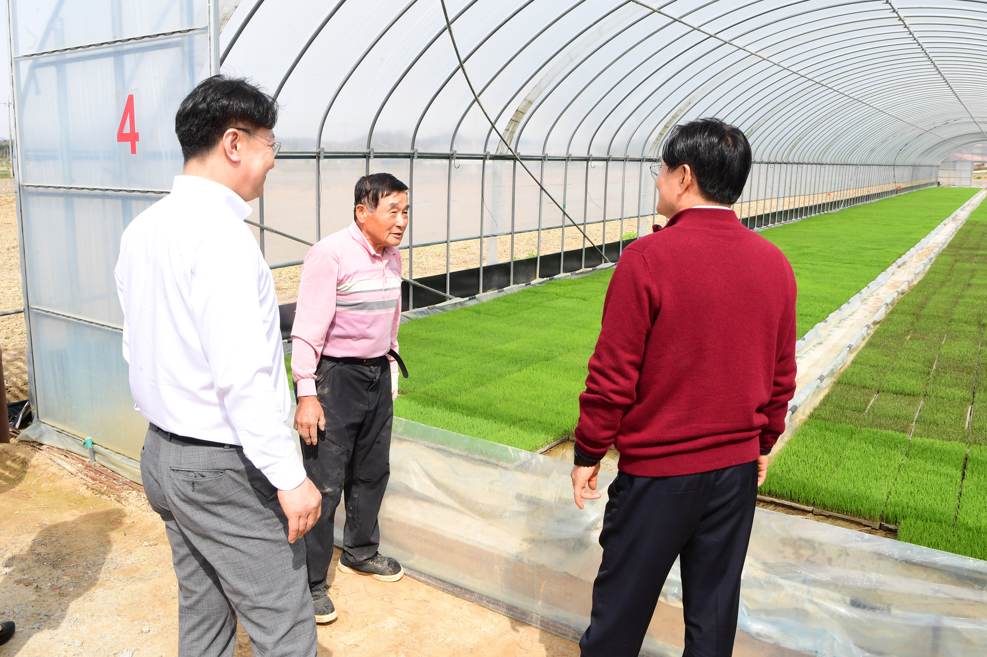  육묘_파종현장_확인_(22).jpg 이미지