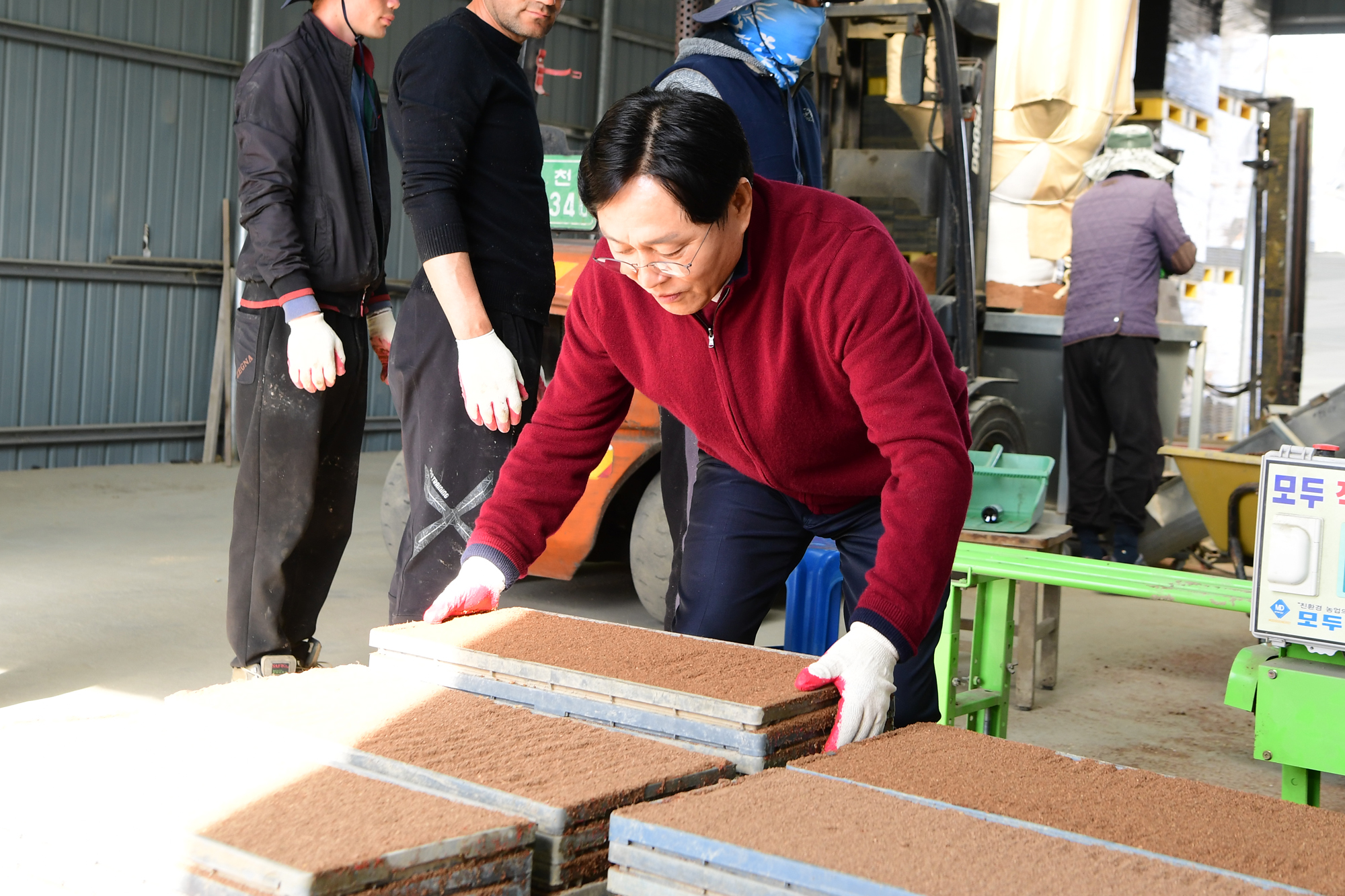  육묘_파종현장_확인_(7).jpg 이미지