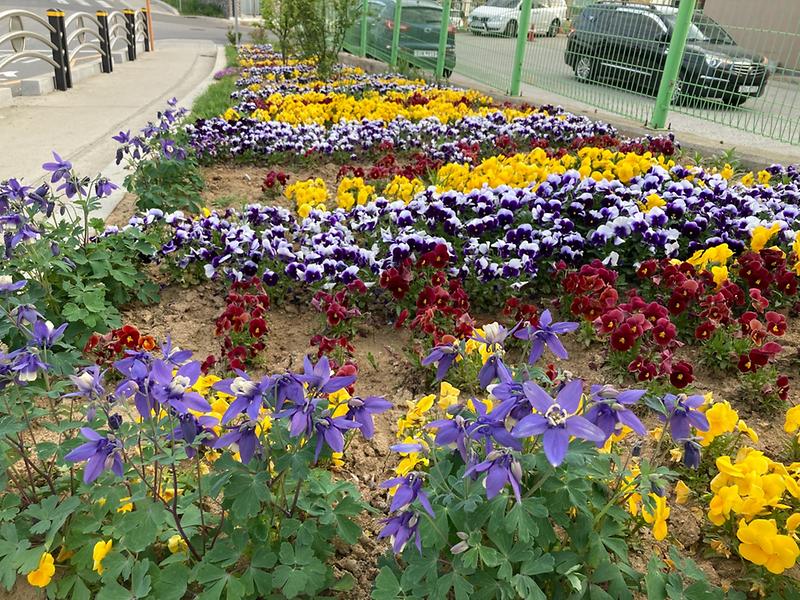 KakaoTalk_20210427_155819041