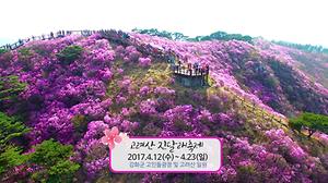 강화군 관광 봄편 사진