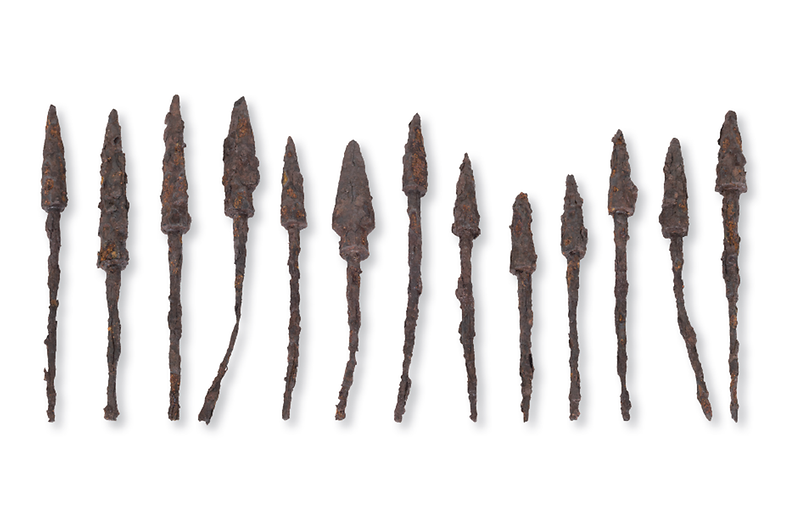 044철촉.png 이미지