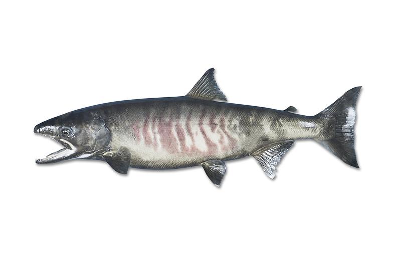 DSC01899.jpg 이미지