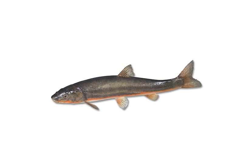 DSC01904.jpg 이미지