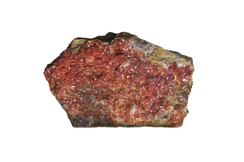 갈연석.jpg 이미지