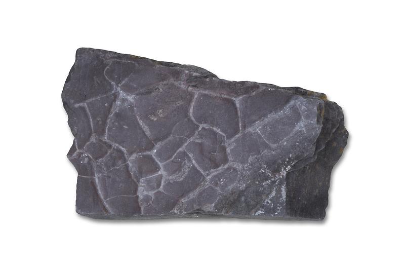 건열.jpg 이미지