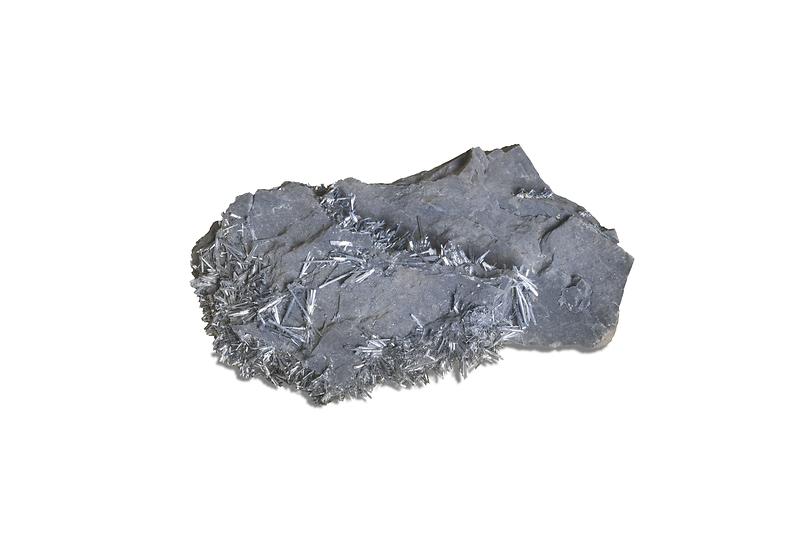 휘안석.jpg 이미지