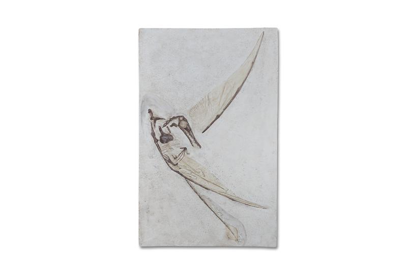 익룡.jpg 이미지