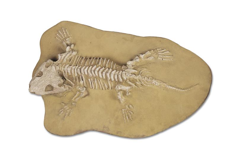 세이모우리아.jpg 이미지