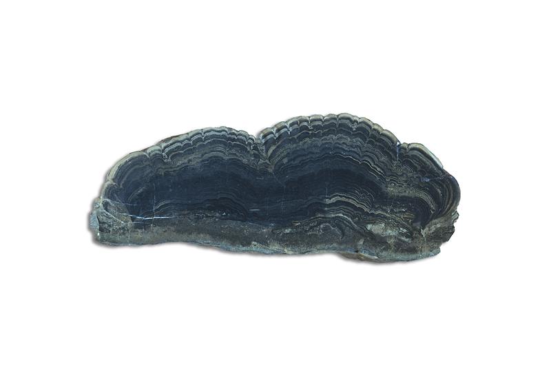 스트로마톨라이트.jpg 이미지