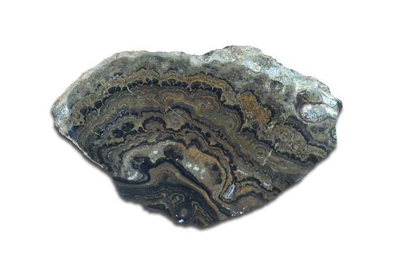 스트로마톨라이트_(2).jpg 이미지