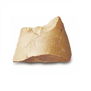 홈날/긁개  사진