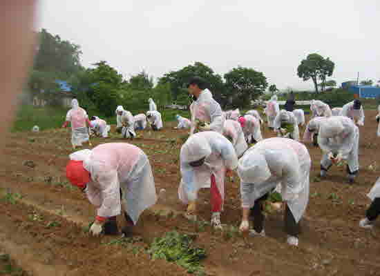 Bool-un-myeon_Sok-no-lang-ko-koo-ma_Sik-jae_Jang-myeon
