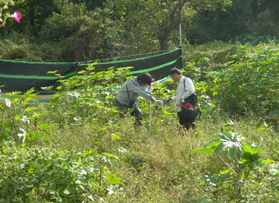 Kean-seal-sa-eab-hyeon-jang_Chuk-lyang_Mo-sub