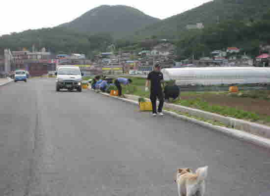 Nae-ka-myeon_Joo-min-ja-chi-ui-uean_Ggok-kil_Jo-seang