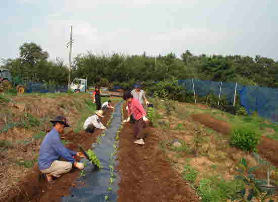 Sean-uean-myeon_Joo-min-ja-chi-ui-uean_Bae-choo-sim-ki