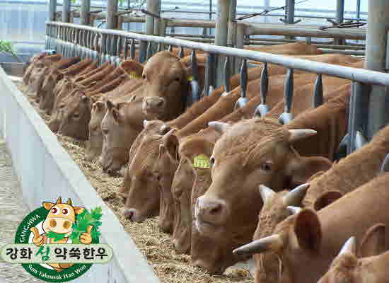 Yak-ssook-sa-lyo_Meak-nun_Han-oo1(1)